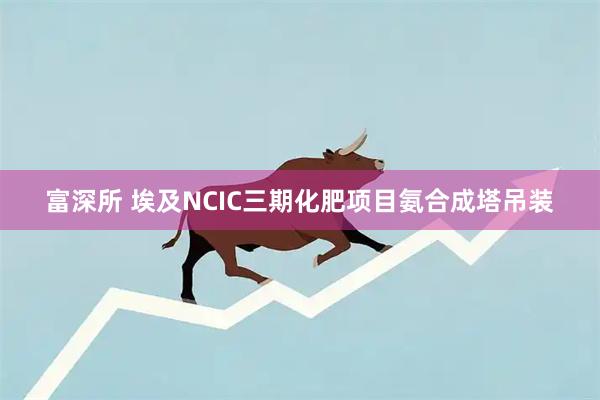 富深所 埃及NCIC三期化肥项目氨合成塔吊装
